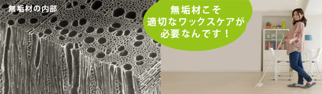 木材繊維の拡大図　無垢材こそ適切なワックスケアが必要なんです！